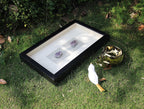 Amethyst Crystal Cluster Shadow Box Wall Art - Handcrafted Natural Gemstone Decor