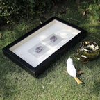 Hotel bedroom sofa background with black frame and purple crystal mineral shadow box