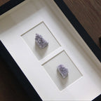 Black framed purple crystal mineral shade box