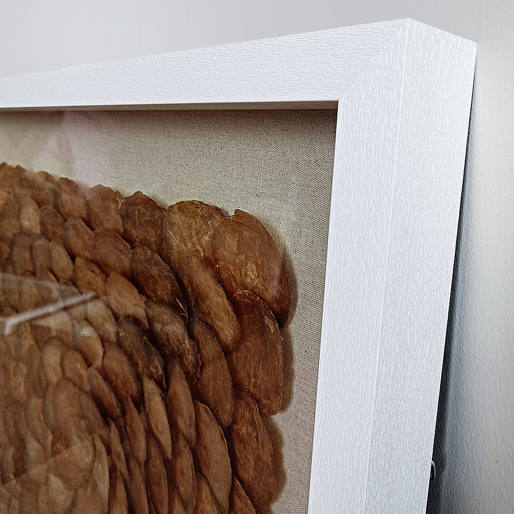 3D Handmade Golden Capiz Shell Shadow Box Wall Sculpture Custom Hotel Lobby Wall Decor
