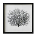 Artificial Sea Fan Coral Shadow Box Wall Art | Custom Framed Coastal Decor