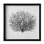 Artificial Sea Fan Coral Shadow Box Wall Art | Custom Framed Coastal Decor