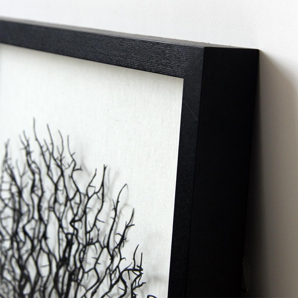 Artificial Sea Fan Coral Shadow Box Wall Art | Custom Framed Coastal Decor
