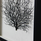 Artificial Sea Fan Coral Shadow Box Wall Art | Custom Framed Coastal Decor