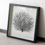 Artificial Sea Fan Coral Shadow Box Wall Art | Custom Framed Coastal Decor