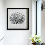 Artificial Sea Fan Coral Shadow Box Wall Art | Custom Framed Coastal Decor