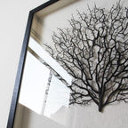 Artificial Sea Fan Coral Shadow Box Wall Art | Custom Framed Coastal Decor