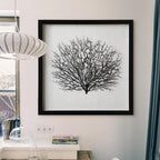 Artificial Sea Fan Coral Shadow Box Wall Art | Custom Framed Coastal Decor