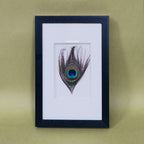 Peacock Feather Shadow Box Wall Art - Handcrafted Luxury Decor